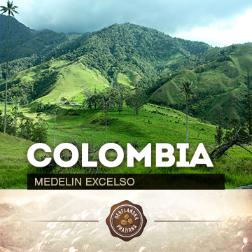 Colombia Medelin Excelso