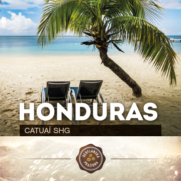 Honduras Catuaí