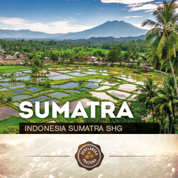 Indonesia Sumatra