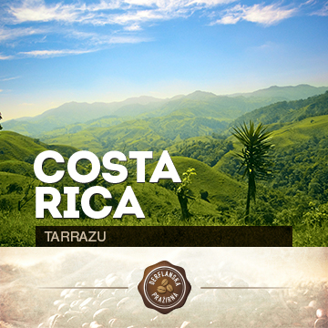 Costa Rica Tarrazu
