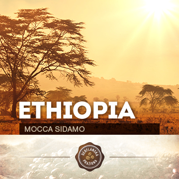 Ethiopia Mocca Sidamo