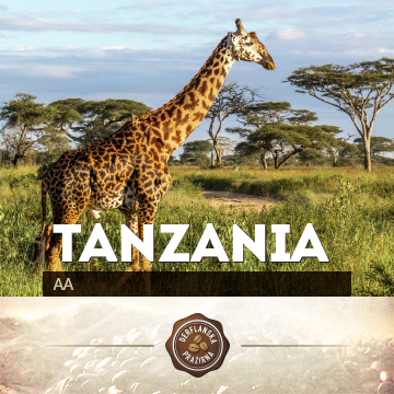 Tanzania AA